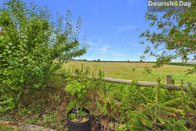 27 White Oak Drive, Stafford photo 4