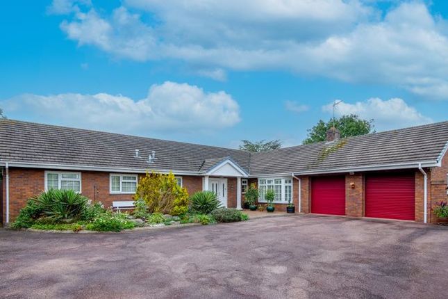 Thumbnail Detached bungalow for sale in Station Court, Newport