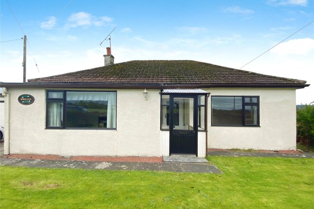 Bungalow to rent in Catherinefield Road, Dumfries