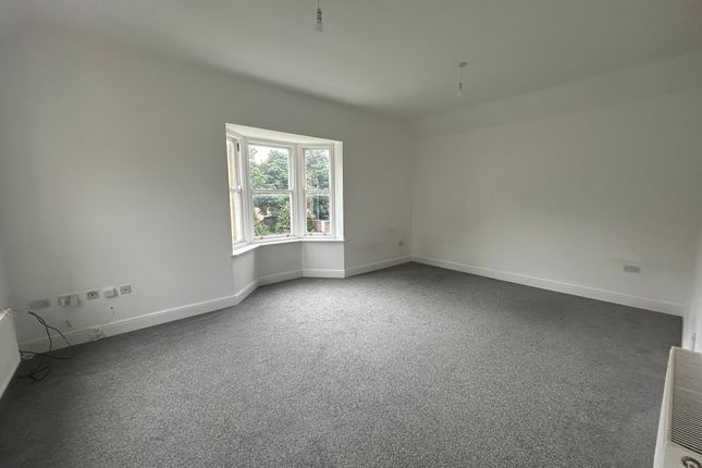 6, Wrexham photo 3
