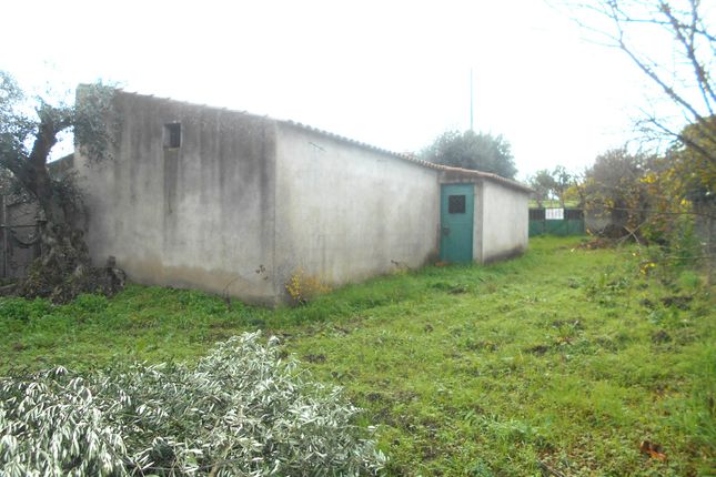 Farm for sale in Ladoeiro, Idanha-A-Nova, Castelo Branco, Central Portugal