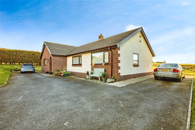 Awelwyre,, Llanrhystud, Ceredigion photo 3
