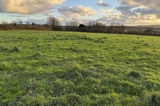 4.84 Acres of Pasture Land and Scrubland, at New Holmus, Haverfordwest photo 5