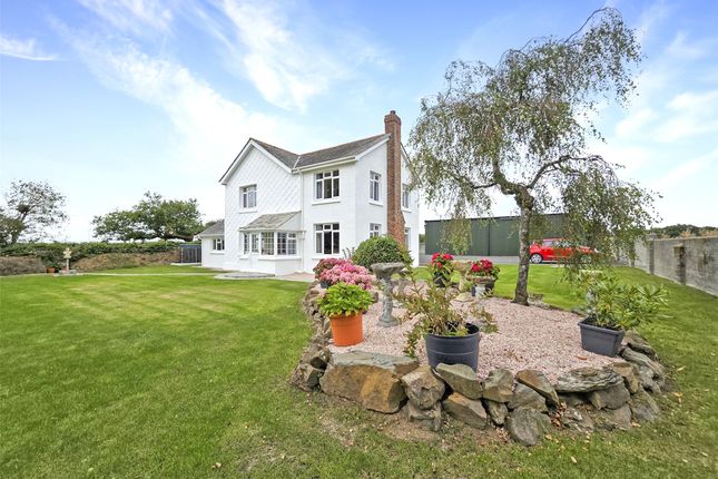 Thumbnail Detached house for sale in Holsworthy, Devon