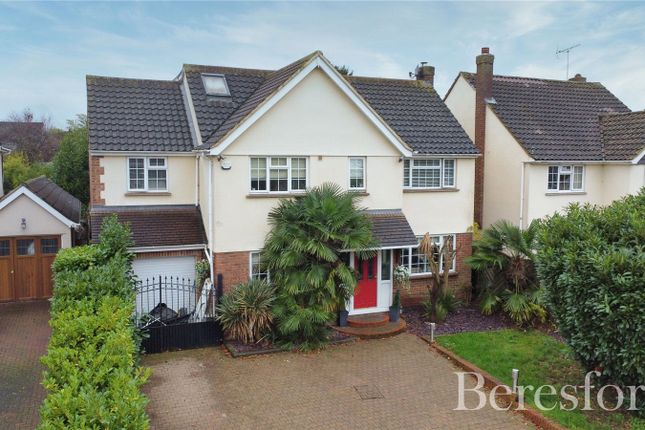 Thumbnail Detached house for sale in Tabors Avenue, Chelmsford