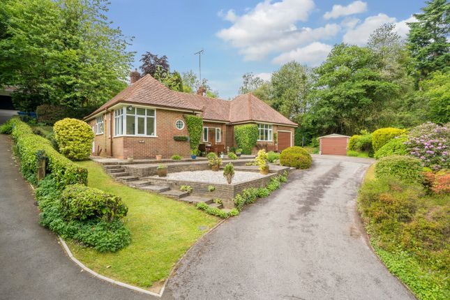 Thumbnail Bungalow for sale in Haslemere, Surrey