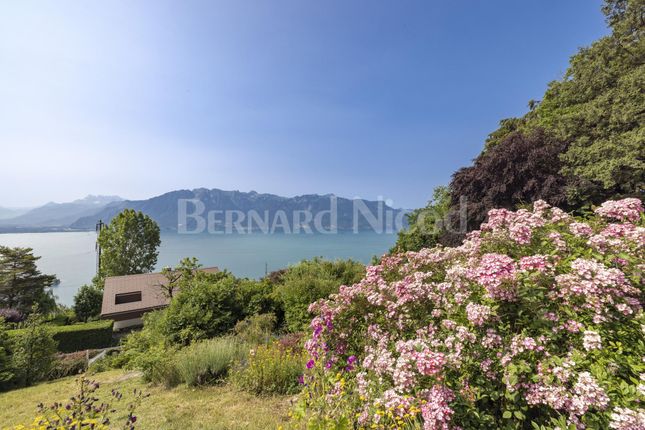 Thumbnail Villa for sale in Street Name Upon Request, Vevey, CH