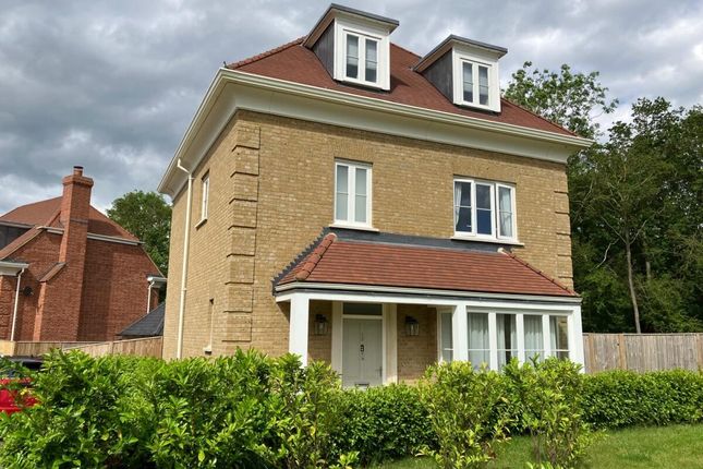 Thumbnail Detached house to rent in Lushington Drive, Barnet