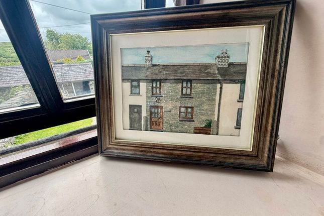 Llety Clyd, Blaenplwyf photo 2