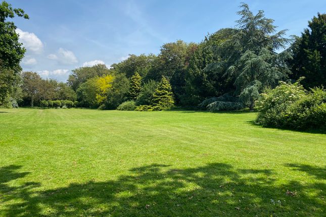 Great Lawn