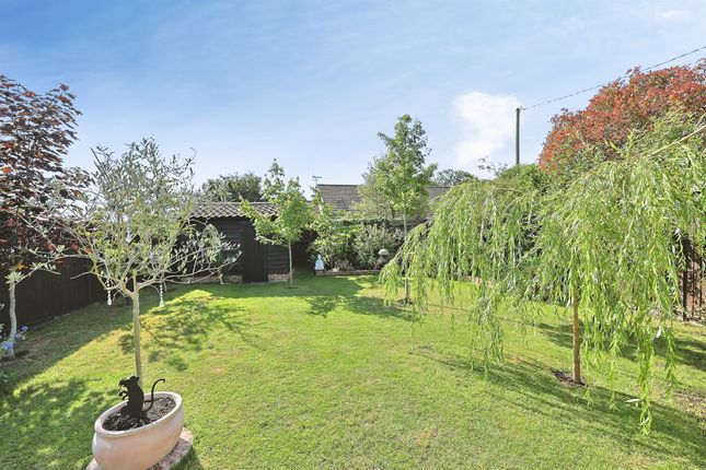 3, Primrose Square, Dereham photo 2