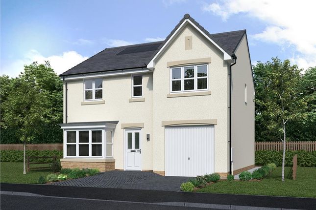 Thumbnail Detached house for sale in "Maplewood" at Irvine Road, Kilmaurs, Kilmarnock