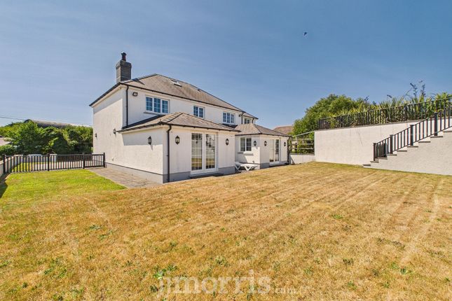 Dechrau Newydd, Cardigan photo 2