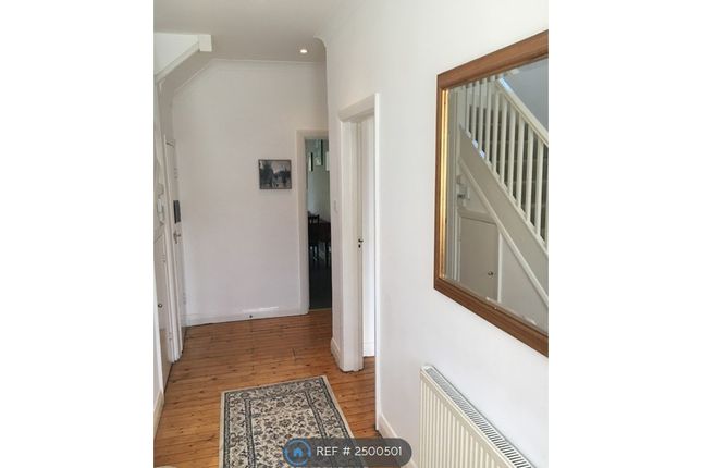 Downstairs Hallway