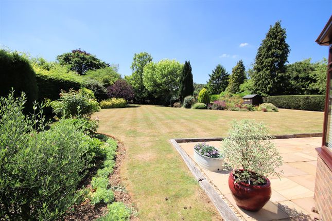 View Of Rear Gardens