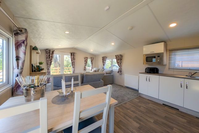 Plot 20 Delta Saffron Deluxe lodge at Hall More Holiday Park, Hale, Milnthorpe photo 3