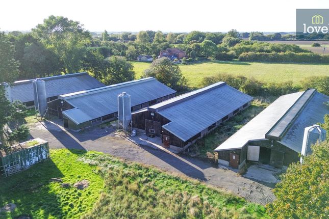 Crows Foot Farm, Common Lane, North Somercotes photo 4
