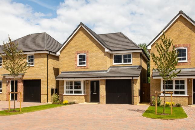 Thumbnail Detached house for sale in "Alcott" at Waterhouse Way, Hampton Gardens, Peterborough