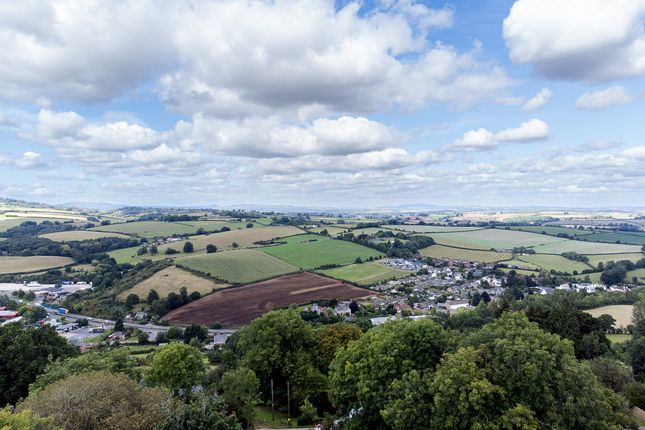 Plum Tree Cottage, Great Doward, Ross-on-Wye photo 4