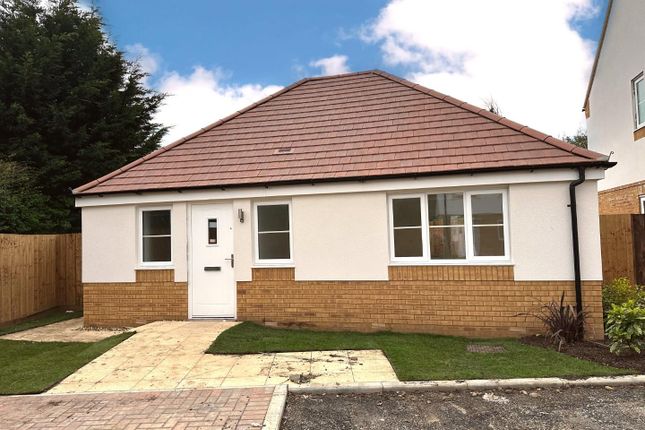 Thumbnail Detached bungalow for sale in Harborough Road North, Kingsthorpe, Northampton