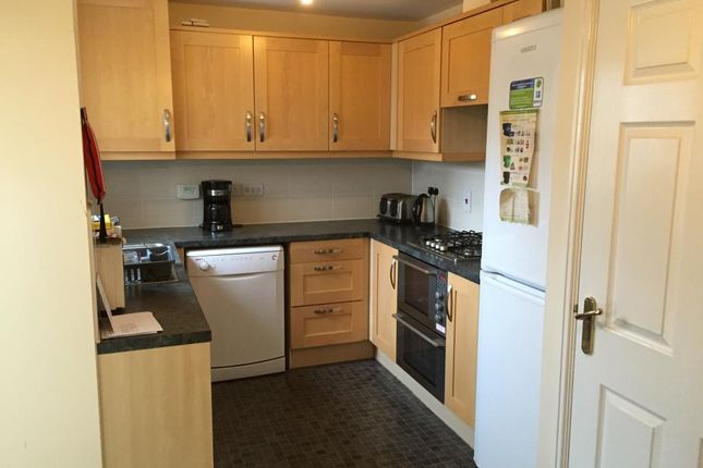 Shared accommodation to rent in The Terrace, Hampden Gardens