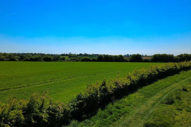 8 Mosscotts, Dunmow photo 3