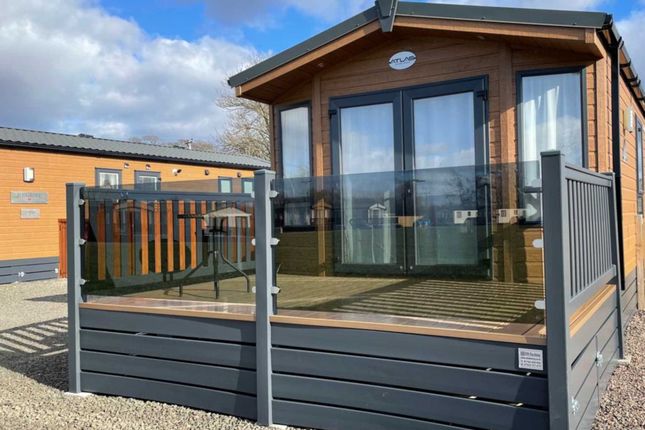 Thumbnail Lodge for sale in Forfar