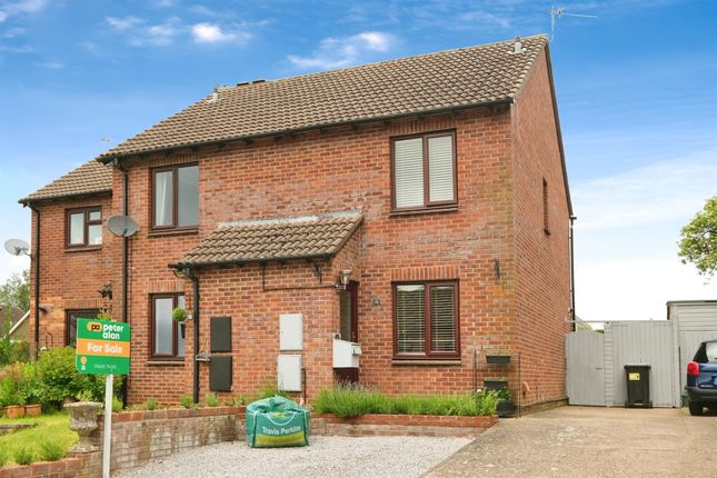 Thumbnail Semi-detached house for sale in Blake Street, Wyesham, Monmouth