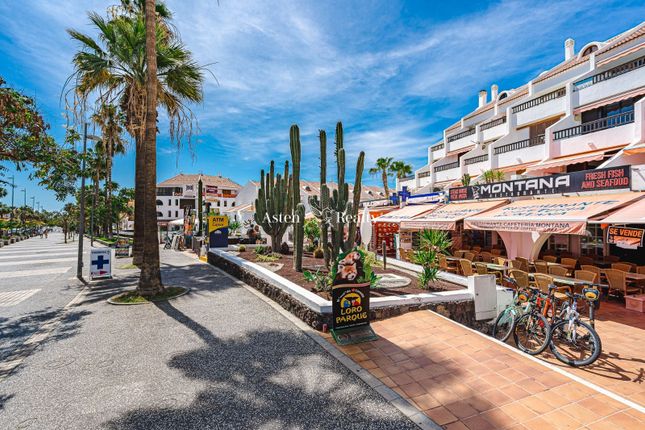 Apartments for sale in Playa de las Americas, Tenerife, Canary Islands,  Spain - Playa de las Americas, Tenerife, Canary Islands, Spain apartments  for sale - Primelocation