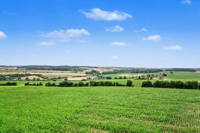 39, Stringers Lane, Hertfordshire photo 2