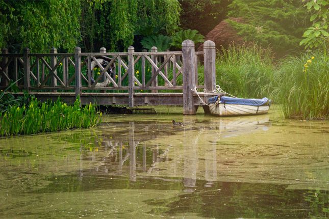 Boating Lake