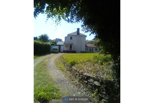 Thumbnail Detached house to rent in Beechways, Hexham