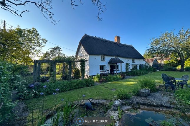 Thumbnail Detached house to rent in The Old Thatch, Parbrook, Glastonbury