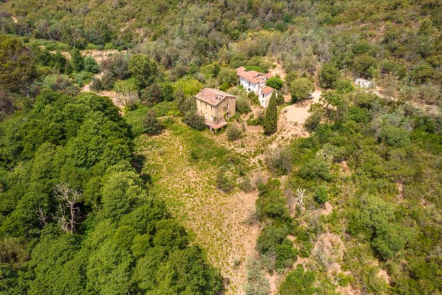 Property for sale in Fréjus, Var, Provence-Alpes-Côte d`Azur, France