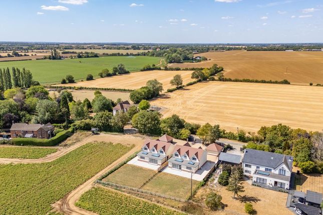 Billtan, White Roding, Dunmow photo 3