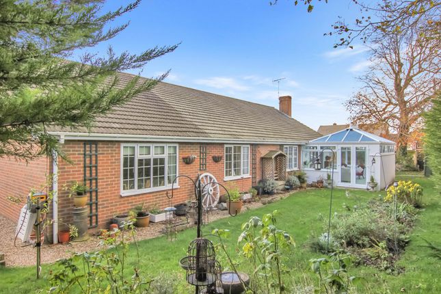 Thumbnail Detached bungalow for sale in Rolfe Lane, New Romney