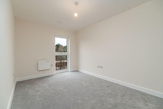 65, Corby photo 3