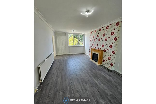 West Paddock, Leyland photo 4