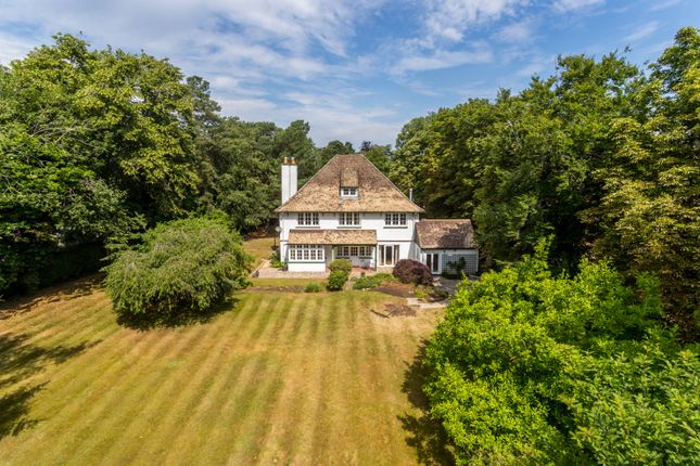 Suttondene, The South Border, Purley photo 2