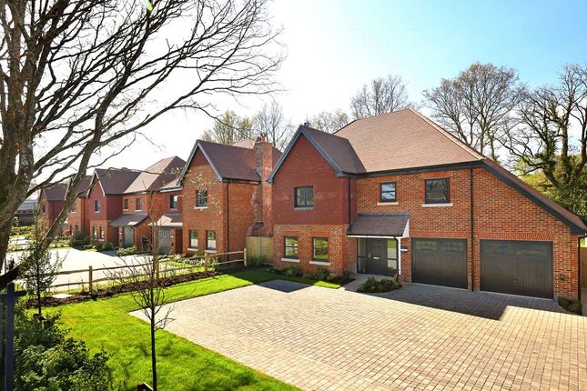 Unit 5 Oakland Grove,, Ridgley Road, Godalming photo 2