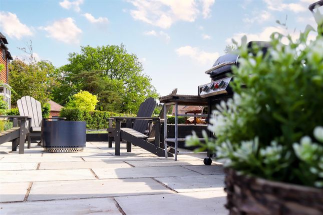 Patio 1.1-Edit.Png
