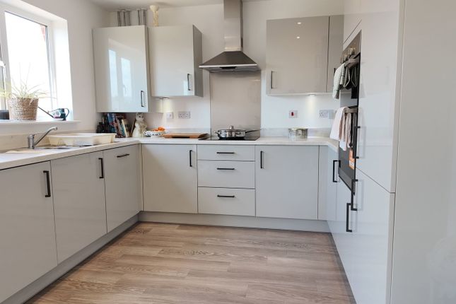 75, Barrow Vale, Newton Abbot photo 4