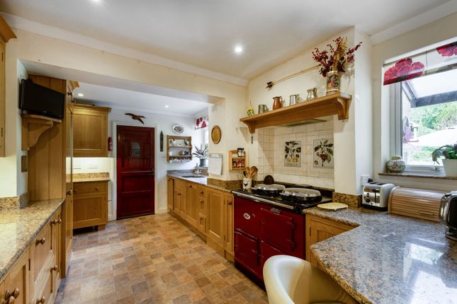 58, Lymington Bottom Road, Medstead photo 4
