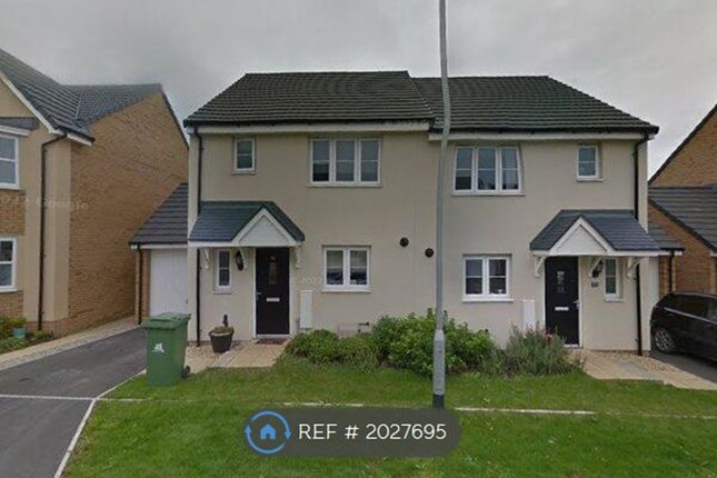 Thumbnail Semi-detached house to rent in Pintail Close, Bude