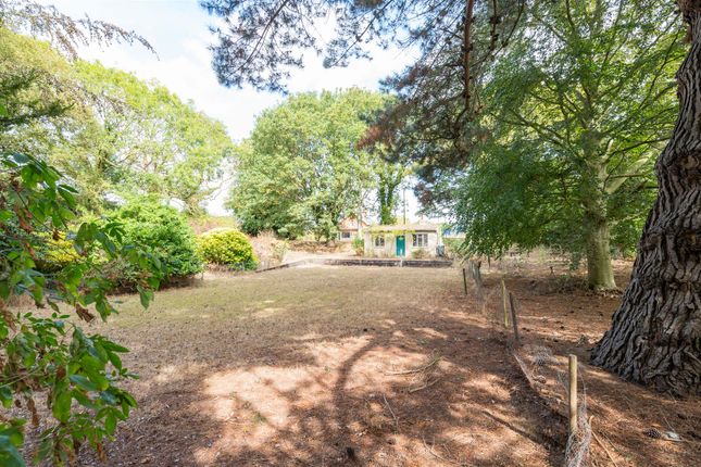 Holly Cottage, Ipswich photo 2