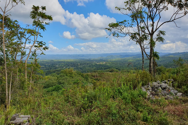 Land for sale in Chichester, Hanover, Jamaica