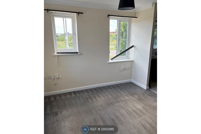 Cotton Thistle Way, Minster On Sea, Sheerness photo 2