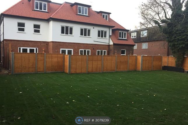 Purley photo 5