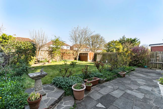 Garden (6)