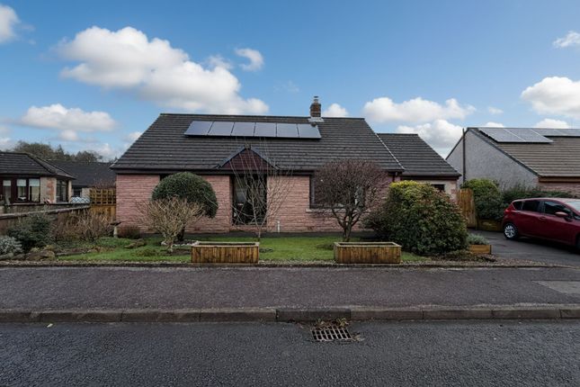 13 Riverside Park, Canonbie photo 2